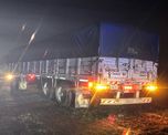 Tras el siniestro, el camión quedó al costado de la calzada. Tras el siniestro, el camión quedó al costado de la calzada.