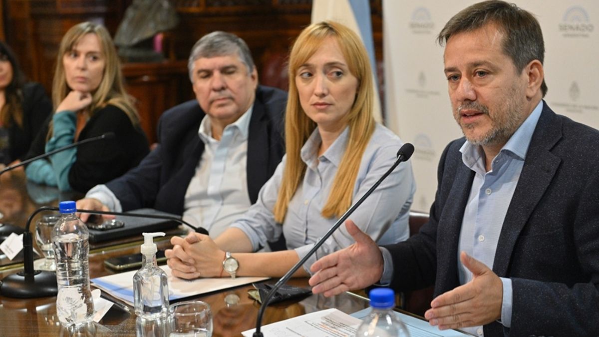 La iniciativa es impulsada por el Frente de Todos (FdT) y fue presentada hace poco más de un mes en una conferencia de prensa.