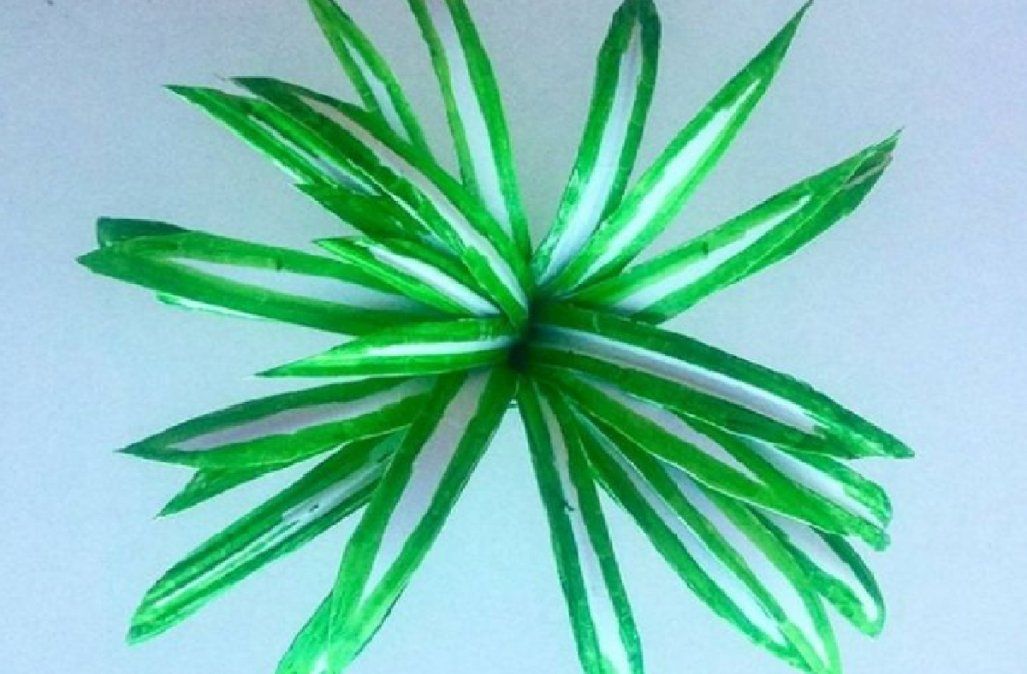 Creá tu propio jardín reciclado