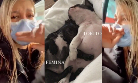 Marian Farjat buscaba a sus perros y recibió la peor noticia Marian Farjat buscaba a sus perros y recibió la peor noticia