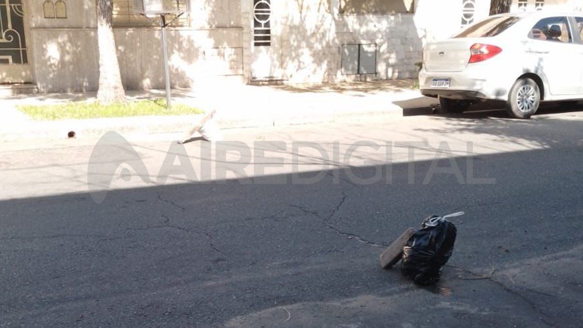 En inmediaciones de Saavedra al 3600, no se permite estacionar los autos a los vecinos porque los lugares están reservados para la barra de Unión. En inmediaciones de Saavedra al 3600, no se permite estacionar los autos a los vecinos porque los lugares están reservados para la barra de Unión.