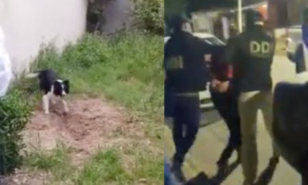 El perro rastreador detectó el lugar exacto donde fue enterrado el cuerpo de la víctima. El perro rastreador detectó el lugar exacto donde fue enterrado el cuerpo de la víctima.