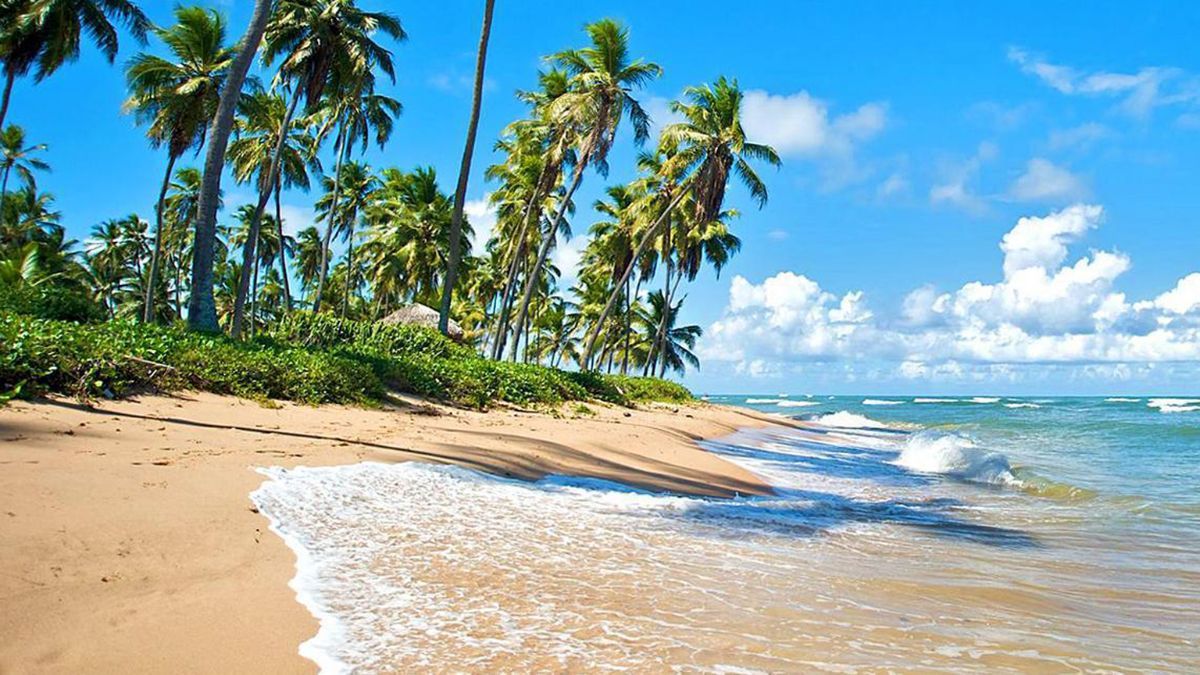 Las barreras de coral frente a la costa actúan como un rompeolas natural, creando lagunas de agua salada ideales para realizar ejercicios de bajo impacto o simplemente relajarse sin corrientes. Las barreras de coral frente a la costa actúan como un rompeolas natural, creando lagunas de agua salada ideales para realizar ejercicios de bajo impacto o simplemente relajarse sin corrientes.