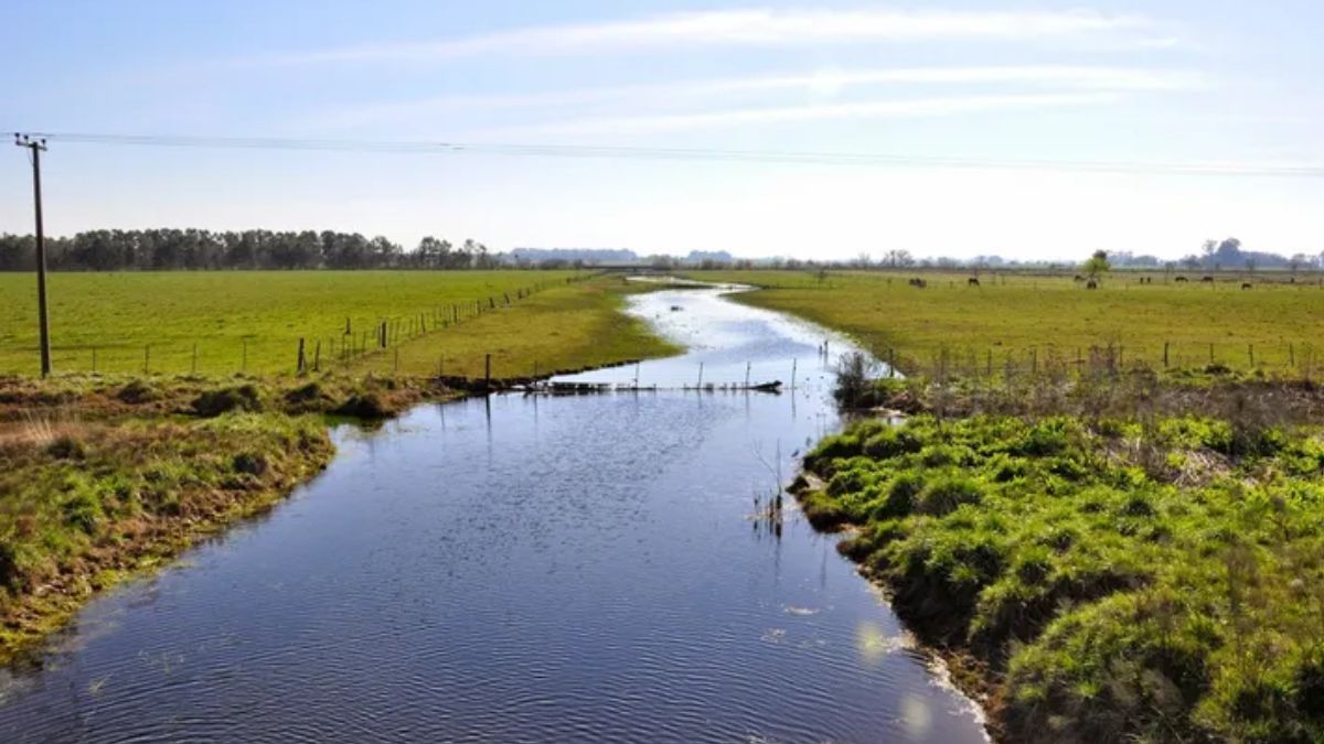 El arroyo La Choza se convirtió en el refugio perfecto para quienes buscan un día de naturaleza y tranquilidad. El arroyo La Choza se convirtió en el refugio perfecto para quienes buscan un día de naturaleza y tranquilidad.