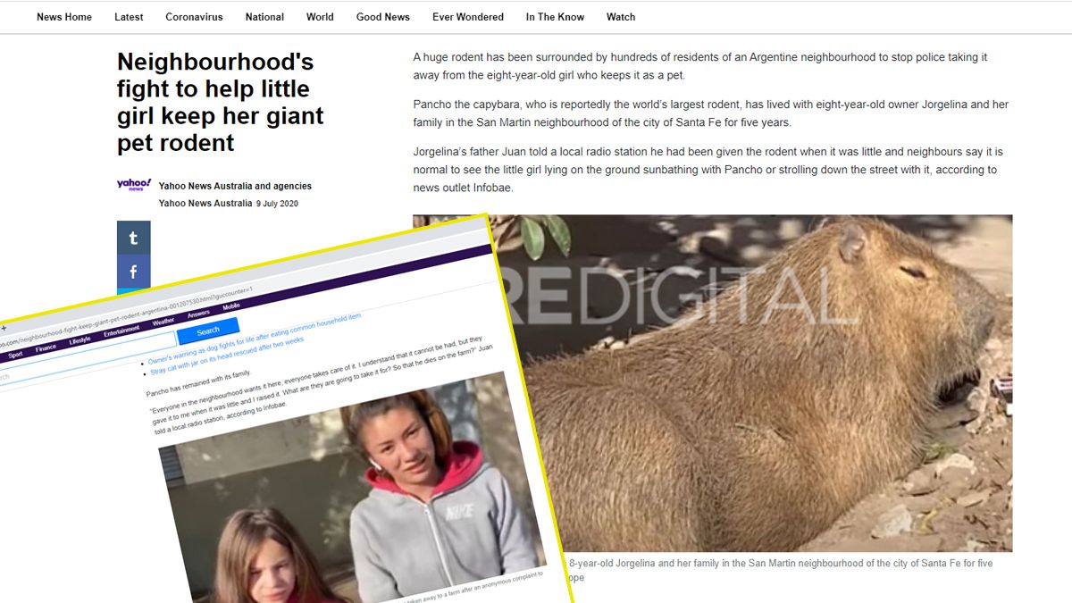 El carpincho Pancho traspasó fronteras y ya habla inglés