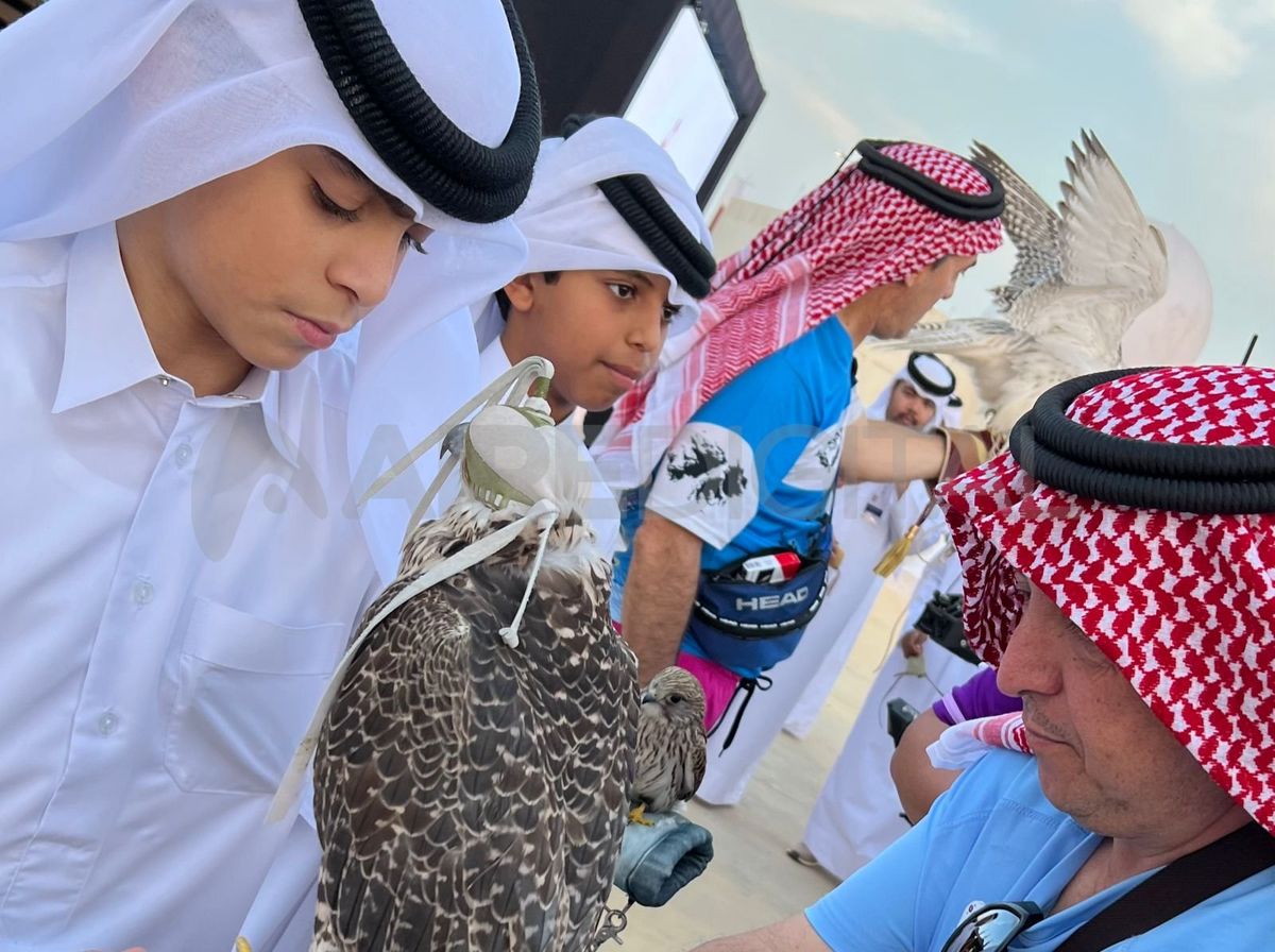 En un sector del centro cultural se pueden sacar fotos con halcones de distintos tamaños.