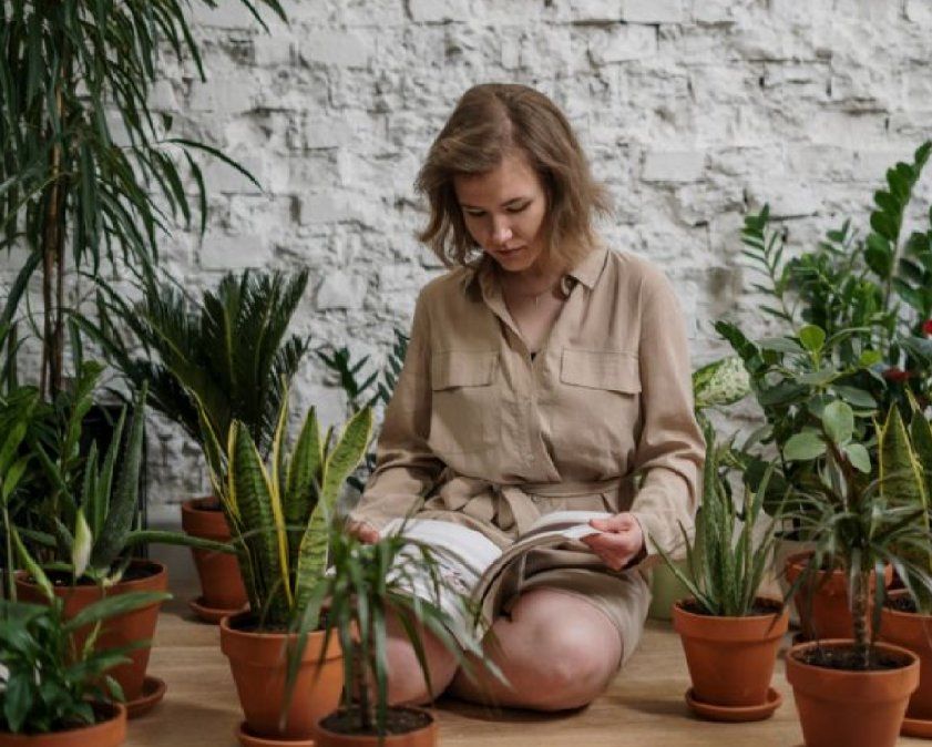 Toda la información que puedas obtener te será de mucha ayuda