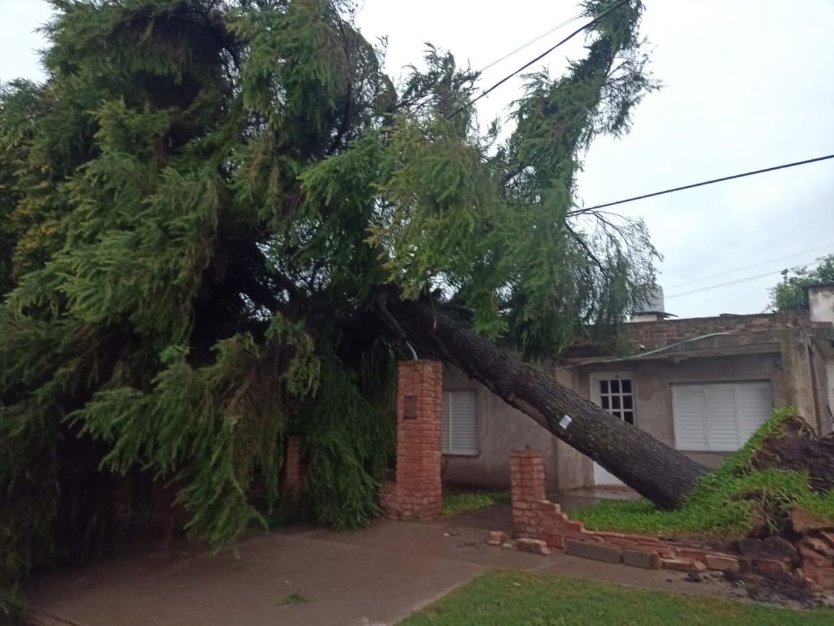 Foto del temporal en Casilda. Foto del temporal en Casilda.
