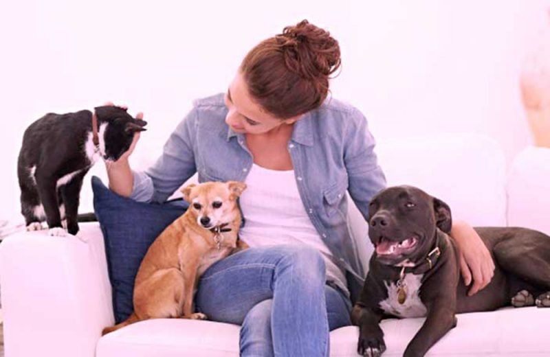 Cuidadores de mascotas, el nuevo servicio que gana terreno en Argentina