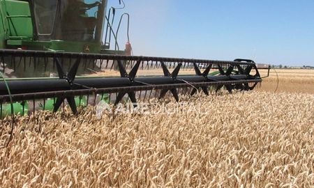 para productores de santa fe, las retenciones son un saqueo para productores de santa fe, las retenciones son un saqueo