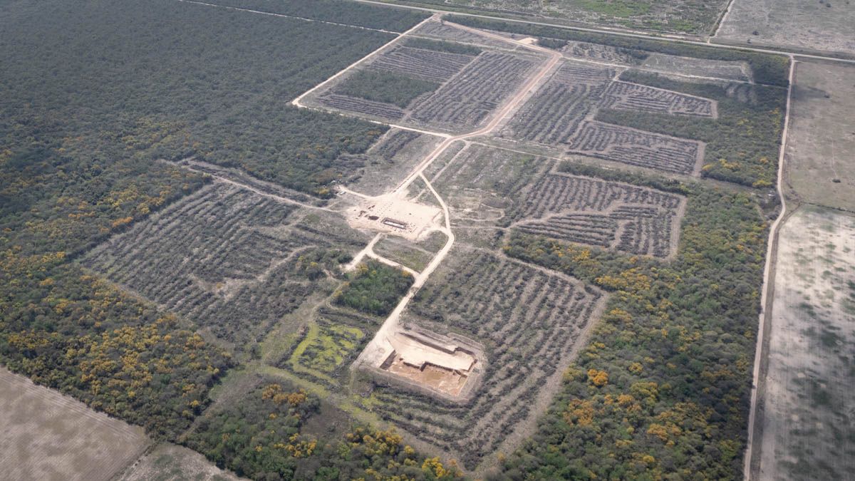 La imagen desde el drone de AIRE de las 47 hectáreas de bosque nativo arrasadas en Logroño