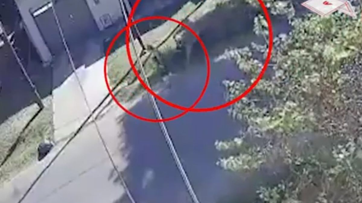 Una jubilada de 62 años resultó herida y permanece internada en grave estado tras ser arrastrada por la calle por un motochorro