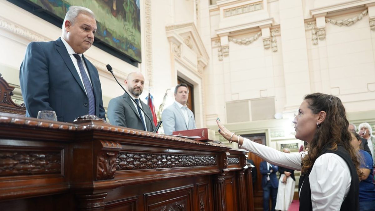 Jimena Senn fueron reelecta vicepresidenta 1° de la Cámara de Diputados.