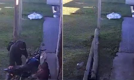 Las cámaras de seguridad registraron el dramático momento en que un poste cayó sobre la vereda apenas 20 segundos después de que un papá y su hija pasaran por el lugar, en barrio Belgrano de la ciudad de Santa Fe. Las cámaras de seguridad registraron el dramático momento en que un poste cayó sobre la vereda apenas 20 segundos después de que un papá y su hija pasaran por el lugar, en barrio Belgrano de la ciudad de Santa Fe.