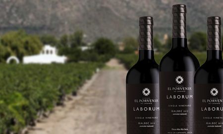 desde cafayate llega laborum malbec nuevos suelos desde cafayate llega laborum malbec nuevos suelos