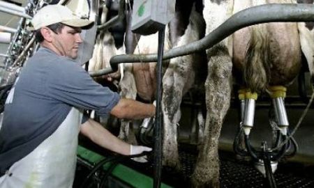 en la provincia cerraron 500 tambos en dos anos en la provincia cerraron 500 tambos en dos anos
