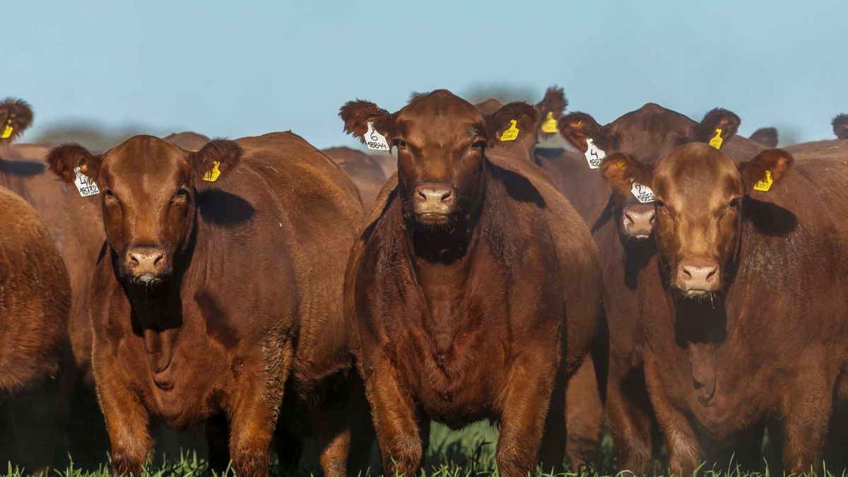 Fueron &nbsp;“doce meses donde