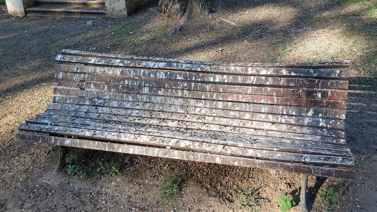 Resulta imposible sentarse en los bancos de la Plaza Constituyentes.&nbsp;