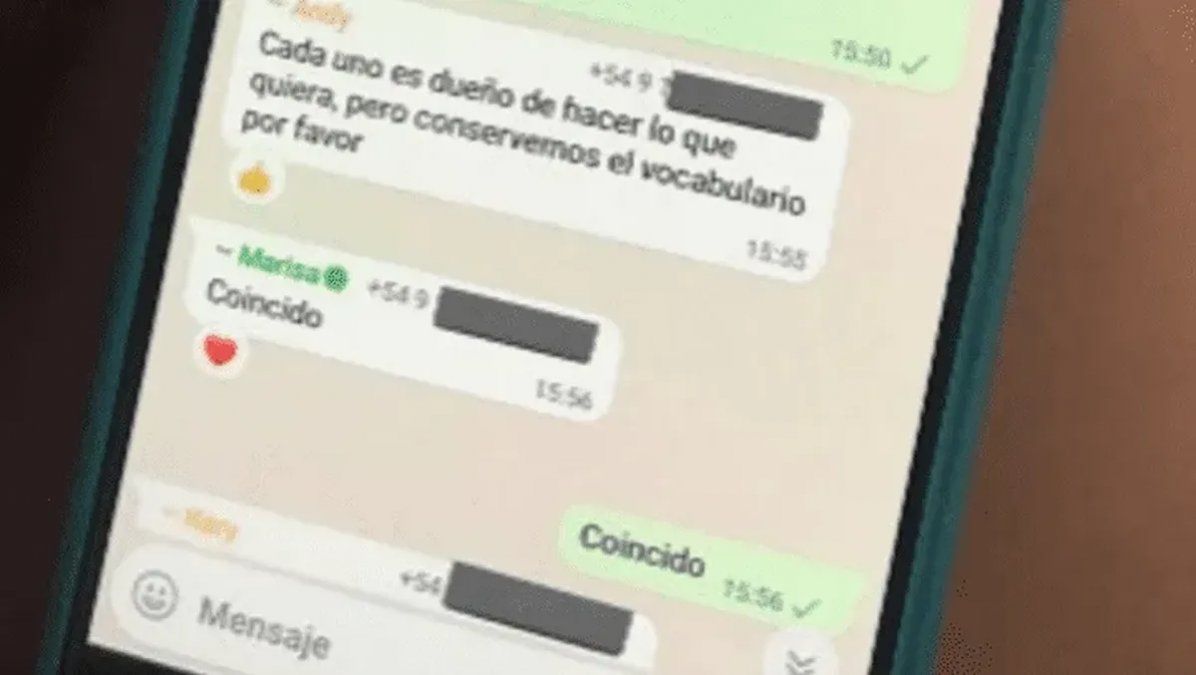 El insólito mensaje de un padre en el grupo del colegio que se viralizó: Lauty se queda rascando la ch... en casa