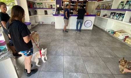 VTR da consejos para hacer las fiestas más llevaderas para las mascotas. VTR da consejos para hacer las fiestas más llevaderas para las mascotas.