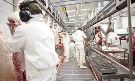 El Senacsa paraguayo aprobó el modelo de certificado sanitario del Senasa para habilitar la exportación de carne y menudencias porcinas. El Senacsa paraguayo aprobó el modelo de certificado sanitario del Senasa para habilitar la exportación de carne y menudencias porcinas.