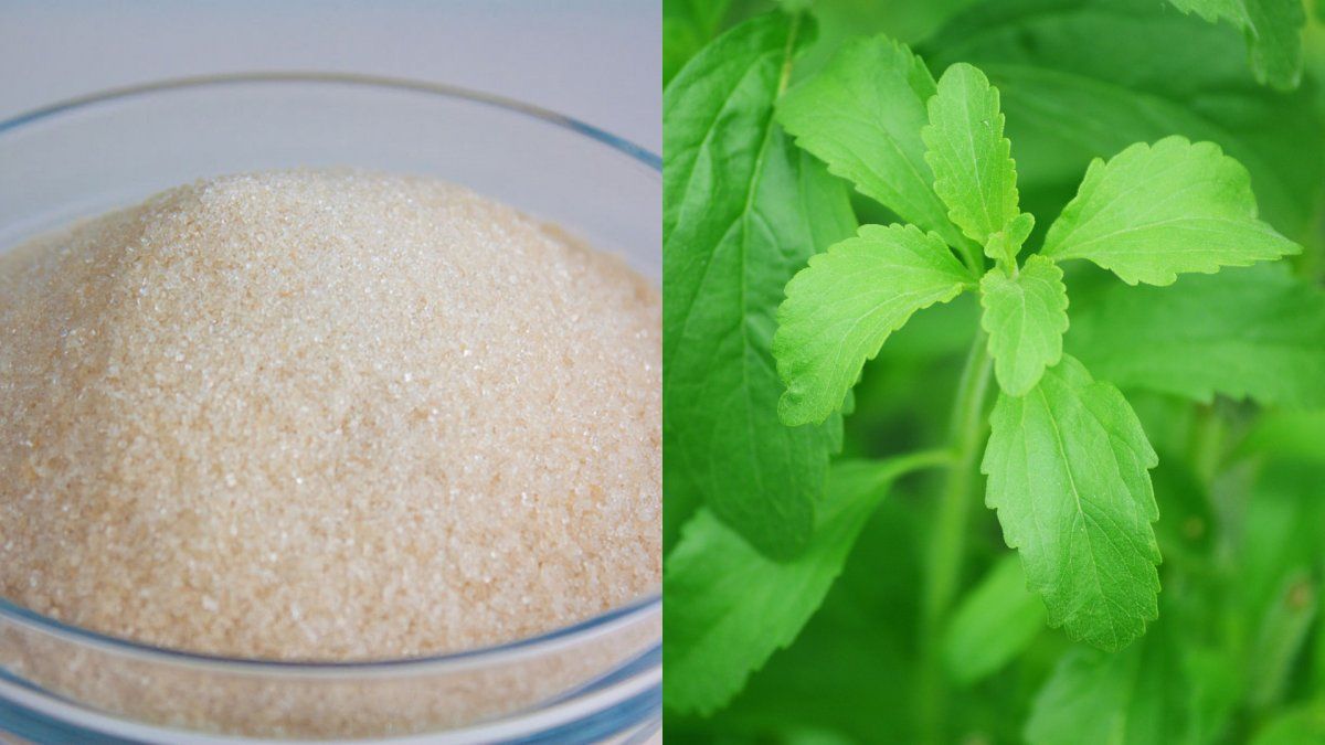 Cu&aacute;l es la verdadera diferencia entre la stevia y el az&uacute;car&nbsp;&nbsp;