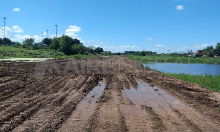 Los terrenos fueron restaurados pero no la vegetación. Los terrenos fueron restaurados pero no la vegetación.