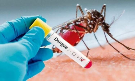Día internacional contra el dengue: ¿por qué se conmemora el 26 de agosto? Día internacional contra el dengue: ¿por qué se conmemora el 26 de agosto?