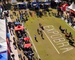 expobra 2026: quienes fueron los grandes campeones y cuanto se pago por los reproductores expobra 2026: quienes fueron los grandes campeones y cuanto se pago por los reproductores