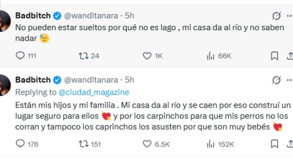"No pueden estar sueltos porque no saben nadar", explic&oacute; Wanda Nara sobre la seguridad de sus mascotas en su casa frente al r&iacute;o.&nbsp;