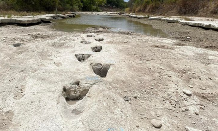Estados Unidos: tras la sequía y la baja del nivel del río, descubrieron unas enormes huellas de dinosaurios Estados Unidos: tras la sequía y la baja del nivel del río, descubrieron unas enormes huellas de dinosaurios