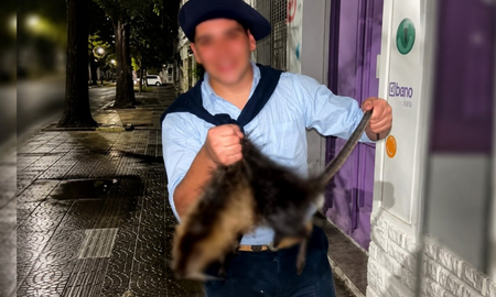 Maltrato animal en Bahía Blanca: mataron a patadas a una nutria, se filmaron y fueron denunciados. Maltrato animal en Bahía Blanca: mataron a patadas a una nutria, se filmaron y fueron denunciados.