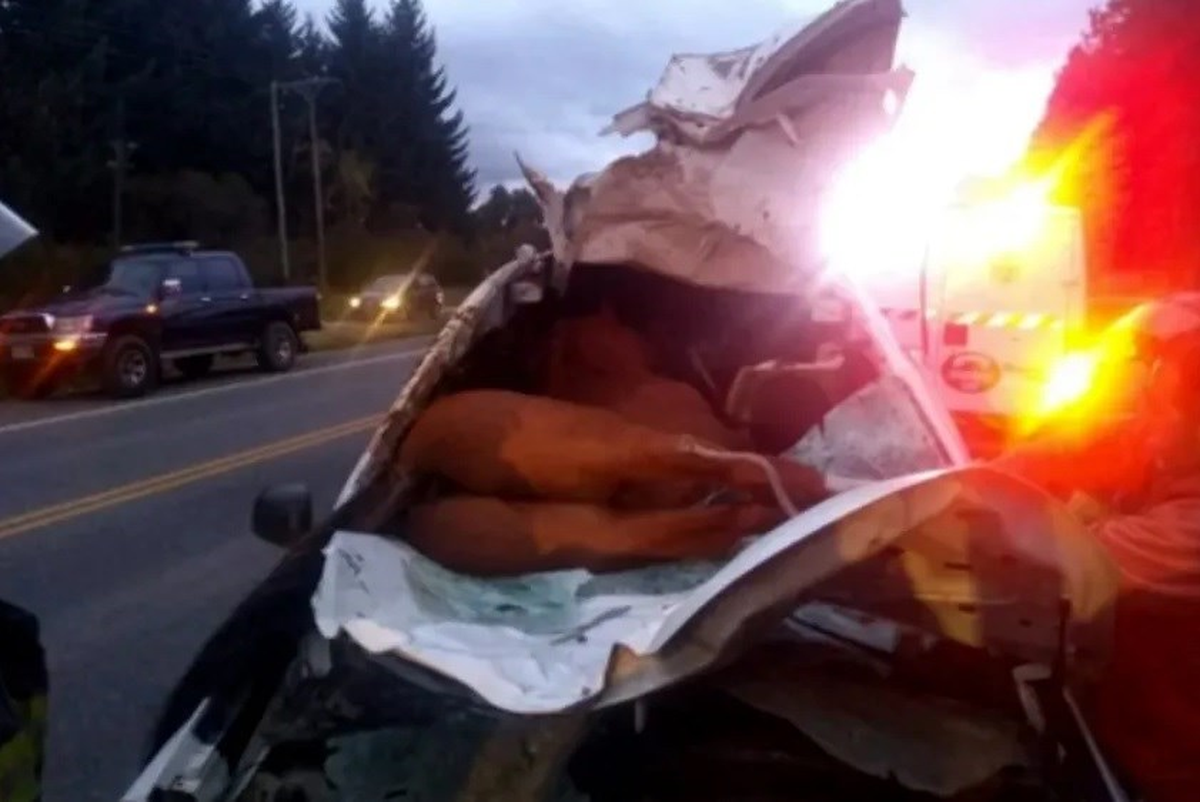 Imágenes del impactante accidente.