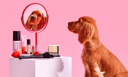 Cruelty Free: guía para una compra ética y responsable Cruelty Free: guía para una compra ética y responsable