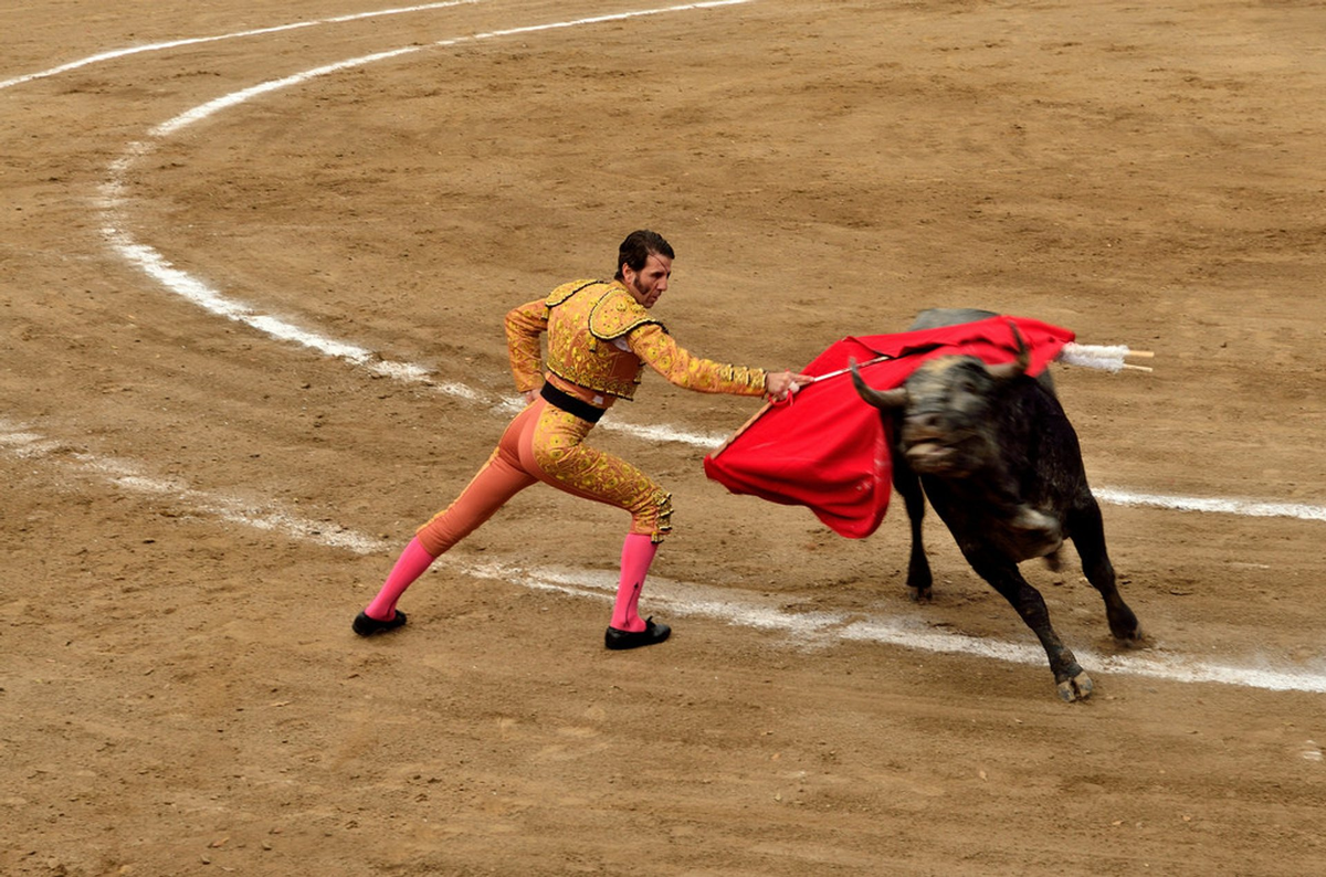Las corridas de toros tambi&eacute;n se realizan en Espa&ntilde;a, Francia, Portugal y Ecuador.