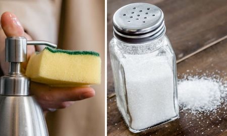 Este truco con sal permite eliminar las bacterías de la esponja de cocina. Este truco con sal permite eliminar las bacterías de la esponja de cocina.