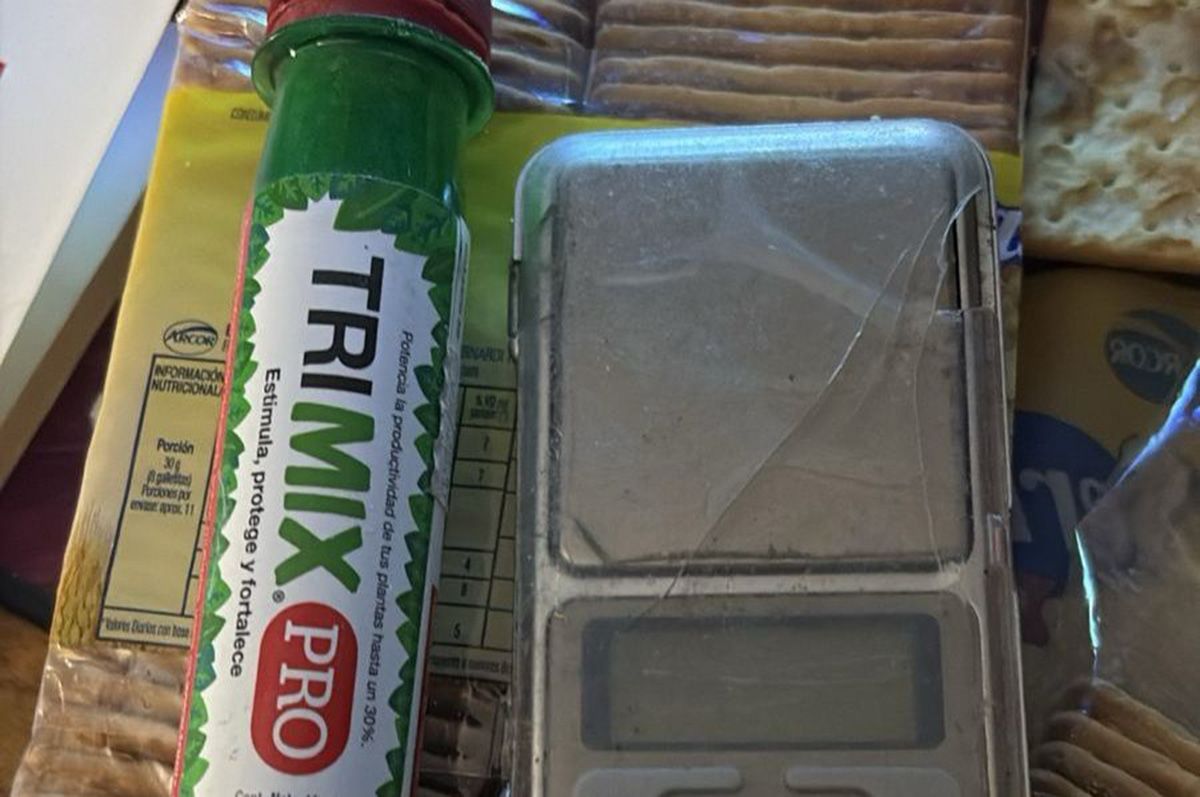 Detenido por amenazas en Santa Fe: descubren un vivero de marihuana en su vivienda tras un operativo policial.