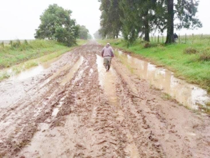 Uno de los proyectos votados en el Senado establece que los accesos a las 365 localidades santafesinas tienen que estar pavimentados.