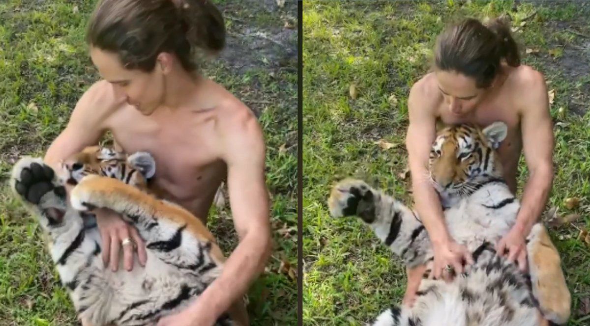 Un hombre demostró ser un experto en el manejo de los felinos y dejó a todos encantados con su relación con los animales. &nbsp;