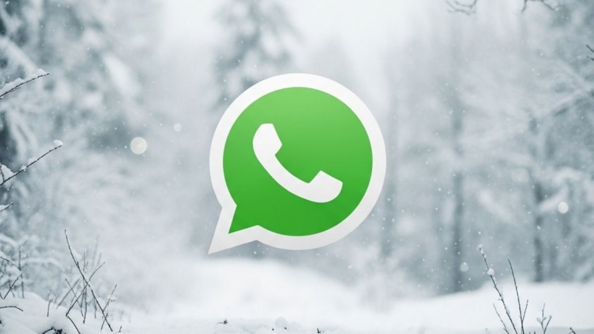 WhatsApp: así podés activar el modo invierno en la app.