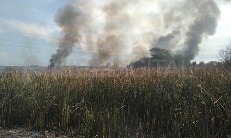 En las primeras horas de la tarde de este viernes, bomberos concurrieron a la zona comprendida entre Circunvalación Oeste y Avenida Blas Parera, a la altura de calle Ruperto Godoy para detener el fuego originado por la quema de pastizales que estaban próximos a algunas viviendas de los barrios San Pantaleón y Schneider en el oeste de la ciudad de Santa Fe. En las primeras horas de la tarde de este viernes, bomberos concurrieron a la zona comprendida entre Circunvalación Oeste y Avenida Blas Parera, a la altura de calle Ruperto Godoy para detener el fuego originado por la quema de pastizales que estaban próximos a algunas viviendas de los barrios San Pantaleón y Schneider en el oeste de la ciudad de Santa Fe.