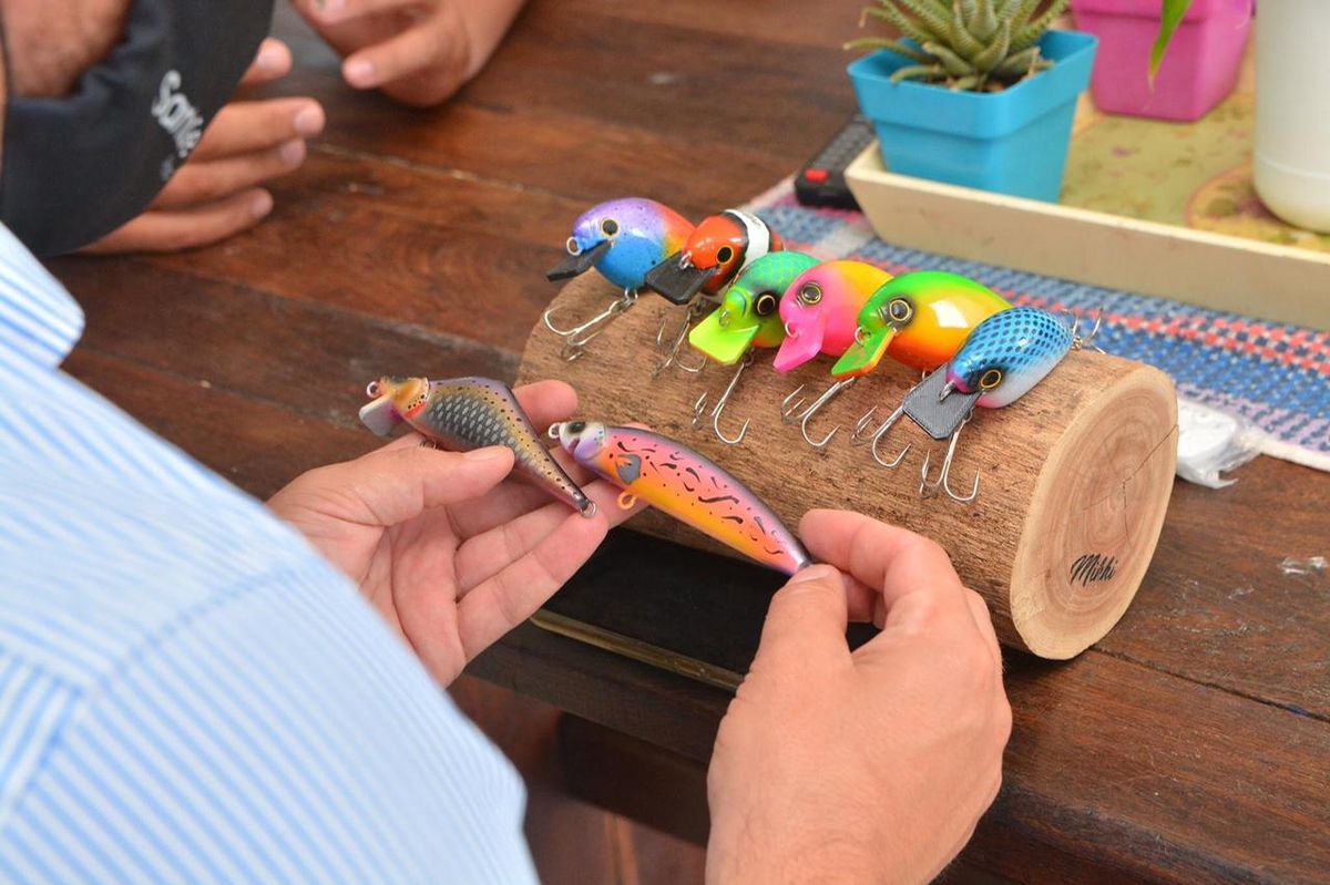 El objetivo del programa es brindar apoyo económico a organismos gubernamentales y no gubernamentales, sin fines de lucro, para el desarrollo de actividades productivas o de servicios.