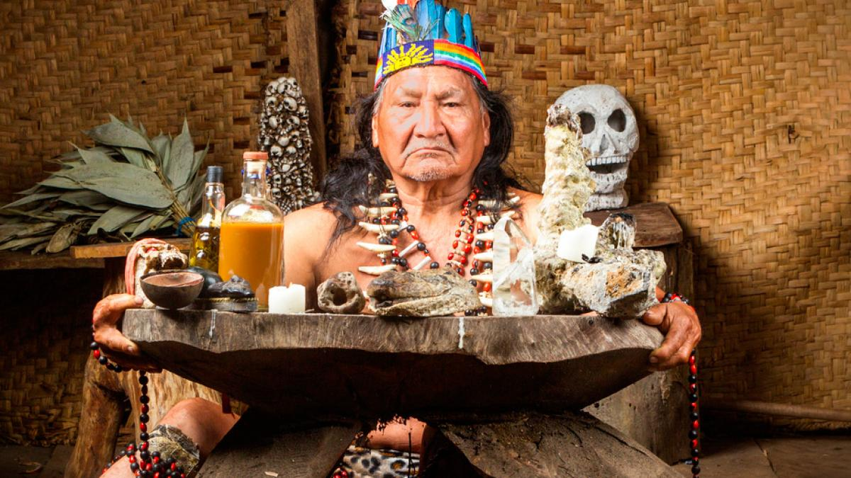 ¿Qué es la ayahuasca?, la planta alucinógena de moda en Perú