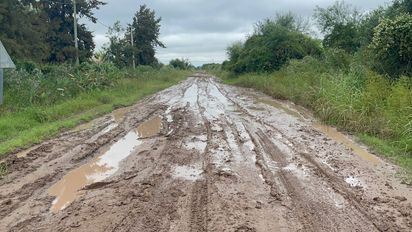 Fallo histórico: el cobro de la tasa por hectárea deberá justificarse con servicios prestados