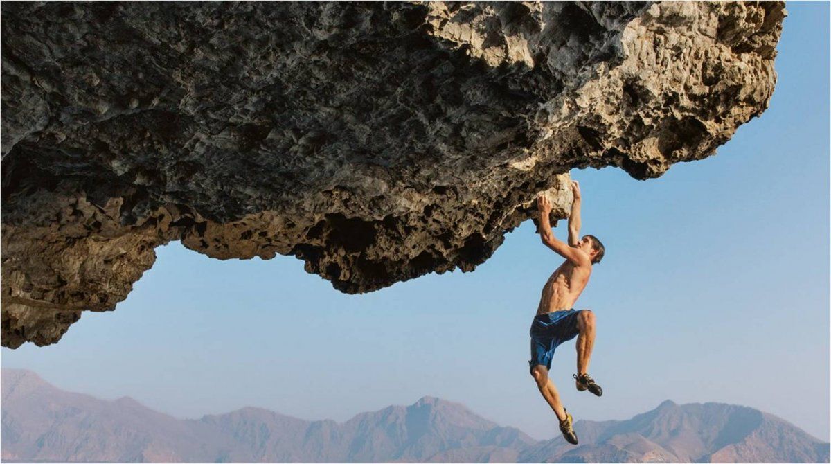 Estos signos no piensan antes de entrar en acción: son monos con navaja