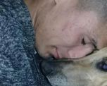 un hombre perdio a su perro y ofrece su auto de recompensa un hombre perdio a su perro y ofrece su auto de recompensa