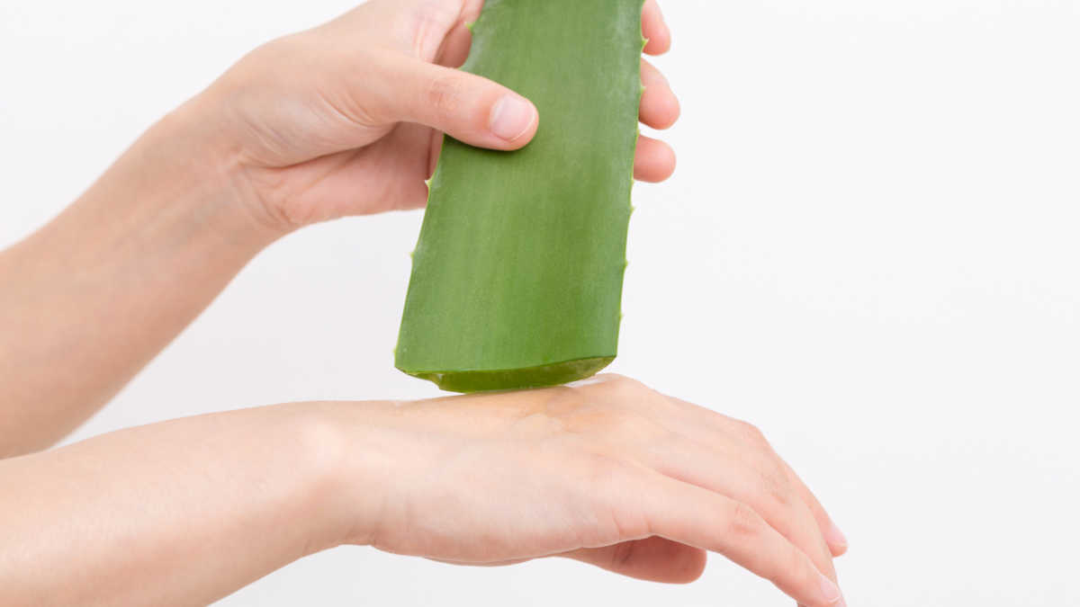 Ayuda a curar heridas, quemaduras o incluso act&uacute;a frente marcas en la piel, verrugas o acn&eacute;; entre otros beneficios.