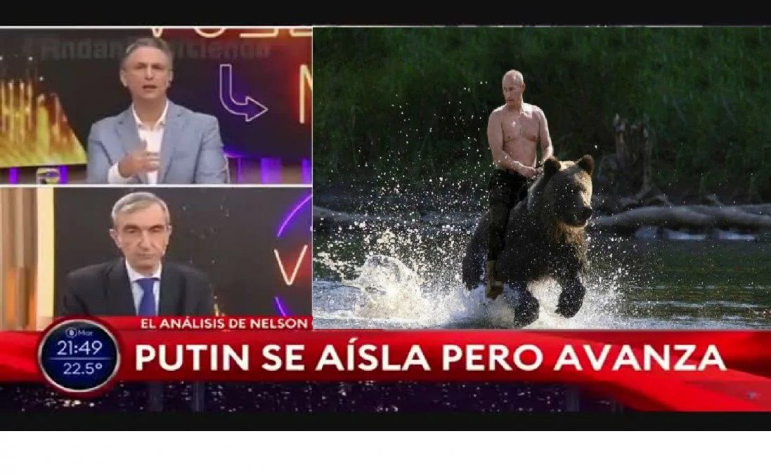 Nelson Castro aseguró que el oso que Putin montó estaba amaestrado y quedó en ridículo: era un meme  