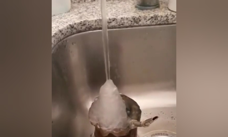 El agua se congela al golpear un mate: el video del curioso fenómeno El agua se congela al golpear un mate: el video del curioso fenómeno