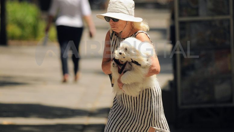 Vuelve el calor: temperaturas en ascenso y la probabilidad de un fin de semana sofocante